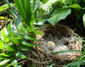 Wild Vine Basket Nest, Garden Pod, Nature Inspired Decor, Baby Shower Decoration, Home Decor Basket