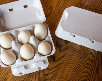 10 Large Duck/Turkey/Goose Egg Cartons - Blank Top - Cartons Hold 6 Extra Large Eggs