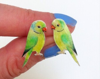 Hand drawn Parakeet earrings. Bird Earrings. Parrot ear studs