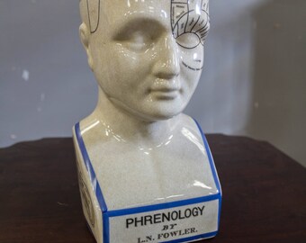Vintage Phrenology Head from 1970s Authentic