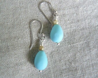 Robin's Egg Handmade Polymer Clay Earrings