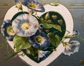 Valentine Postcard - Morning Glory Flowers - Heart - Vintage Postcard