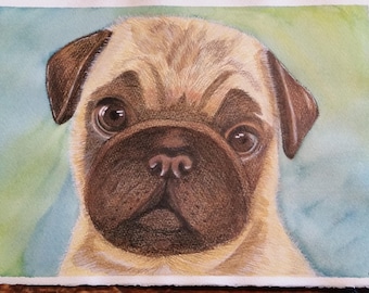 Watercolor and pencil pug print