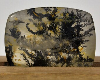 Fantastic Faceted Quartz With Dendrites