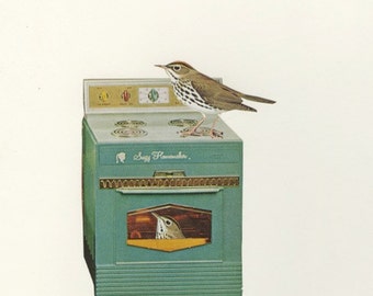Ovenbirds in their natural habitat. Collage print by Vivienne Strauss.