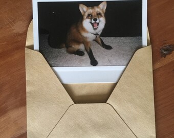 Pre Order The Happiest Polaroids
