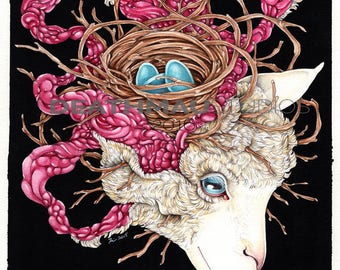 Nest - Fine Art, Giclee Print