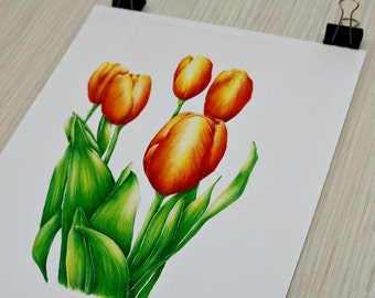 Tulip Botanical Painting Print