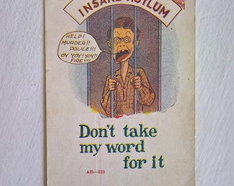 Antique Insane Asylum Caricature Postcard --- Vintage Edwardian Cartoon Mail Souvenir --- Don't Take My Word For It --- Kooky Gothic Decor