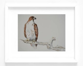 Original 8x10 Watercolor Painting - Red Tailed Hawk