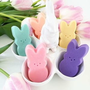 Gift for Her. Mom Gift.Mothers Day Gift. Funny gift Gift for Her. Best Friend. Gift Women. Peep inspired Soaps. SOAP GIFT SET. Birthday Gift