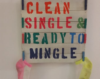 Missing Sock Laundry decor