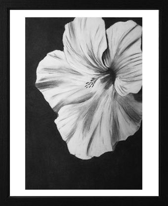 Original charcoal drawing black and white flower