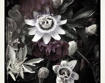 Passion Flower and Roses