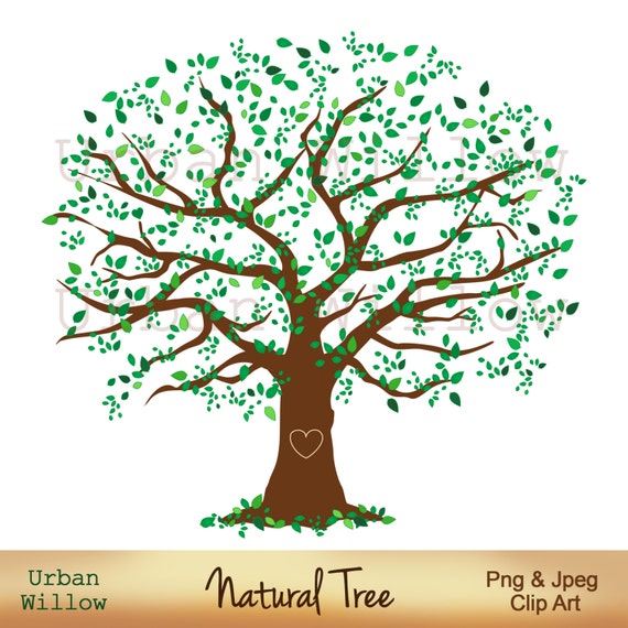 Family Tree 12 Inch Natural Tree Clip Art Large Leafy Tree