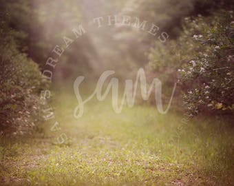 Summer Creamy Digital backdrop, digital background, Forest background, Forest backdrop, Spring backdrop, Spring background, Log backdrop