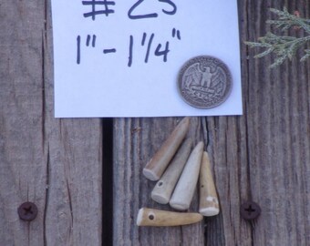 Deer antler tips , drilled antler pendants , antler tines