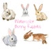 Watercolor Bunnies, Bunny Rabbit Clip Art, Nature clipart, Forest Clip Art, Wild Animals, Fauna Clipart, Animal Art