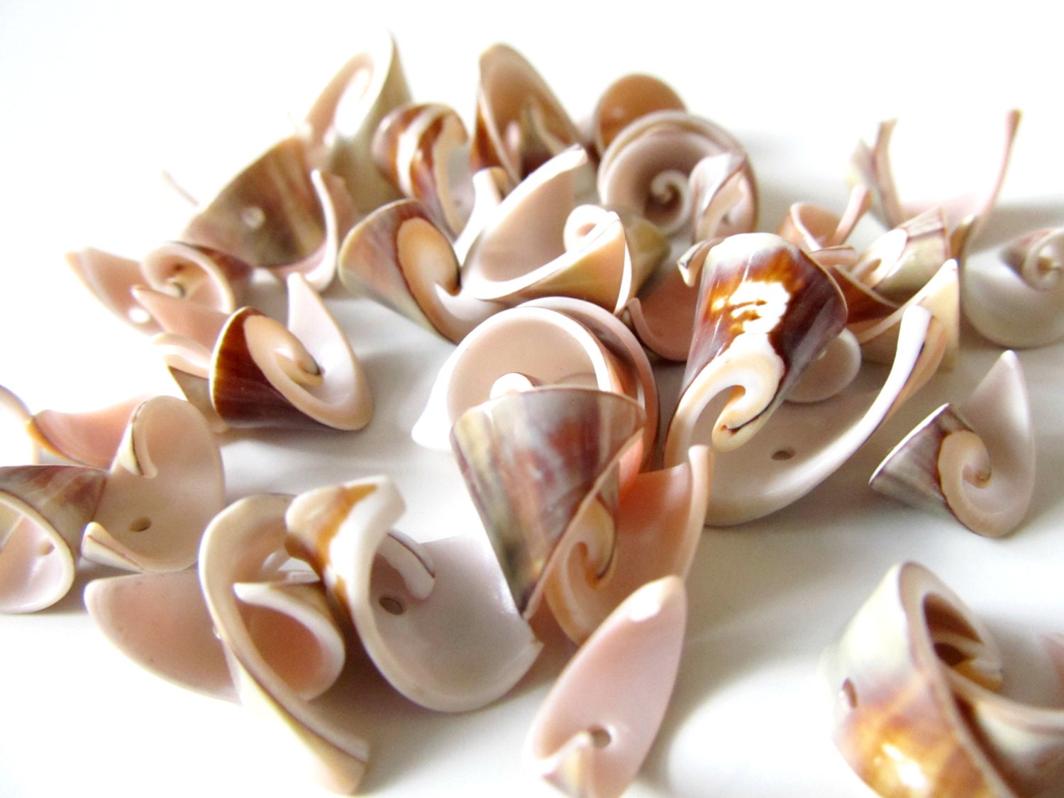 Dans Quel Coquillage Trouve T On Des Perles Coquillage perles conque Unique tranche perles Twirly