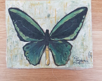 small canvas oil painting old Butterfly