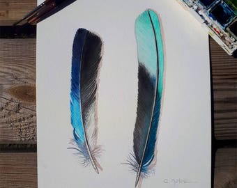 Watercolor feathers / original watercolor feather