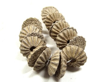 Handmade Ceramic Stoneware Anemone Beads Fluted Face with Flat Textured Back, Large Center Hole, Terra Sigillata Finish, Jewelry Components