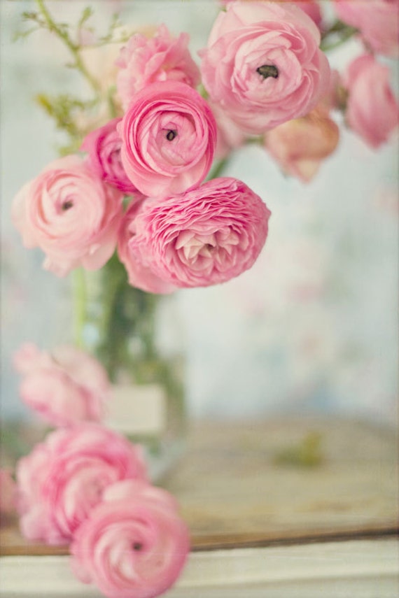 Still Life Photography Ranunculus Floral Pink Nursery Decor Still Life Photography Ranunculus Floral Pink Nursery Decor