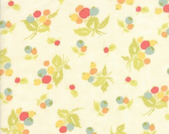 Moda Coney Island Quilt Fabric 1/2 Yard By Fig Tree & Co Ice Cream 20286 16