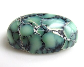24.9ct Webbed Variscite Cabochon - 25x14mm - NEVADA Prince Mine Natural Variscite