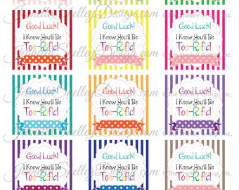 DIY Printable Teacher Appreciation Smart Cookies