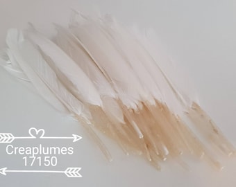 25 colored 12 to 14 cm d goose feathers