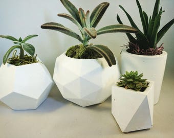 Concrete Planter | Succulent Planter | Planter | Geometric Planter | Plant Pot | White Planter | Handmade Planter | Succulent | Concrete