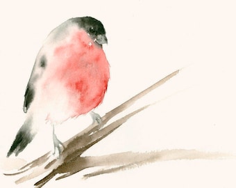Fine Art Print from Original Watercolor Painting Bullfinch