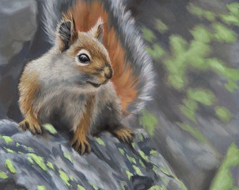 Squirrel - Squirrel painting - squirrel art - squirrel painting -animal art -wildlife art - Open edition print