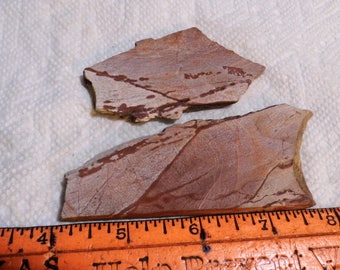 Slab Cab Lapidary Slabs Apache Rhyolite #1