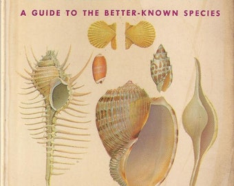 Vintage Sea Shells of the World A Golden Nature Guide Book, C1962