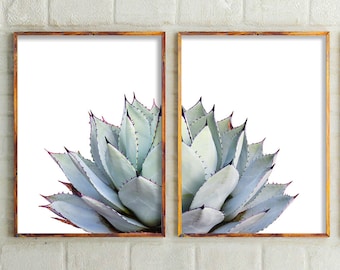 Set Of 2 Prints, Cactus Print, Cactus, Botanical Print, Cactus Art, Cactus Wall Art, Art, Prints, Succulent Print, Wall Decor, Australia