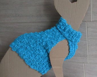 Cotton for young Sphynx cat sweater
