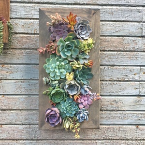 20x10 Living Wall Succulent Planter Vertical Hanging Garden Art Rustic Wood Arrangement Flower 20x10 Living Wall Succulent Planter Vertical Hanging Garden Art Rustic Wood Arrangement Flower