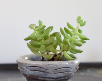 SUCCULENT PLANTER Succulent Pot Succulent Holder MINIMALIST Home Decor