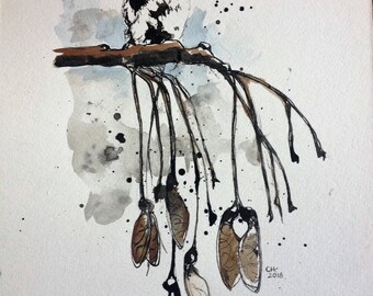 Chickadee on Maple Branch