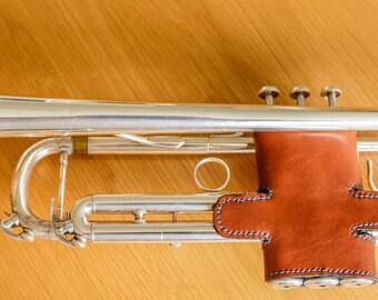 Trumpet Valve Guard / Cover