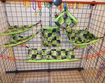 NEON GREEN SPIDERS Sugar Glider 6 Piece Cage Set