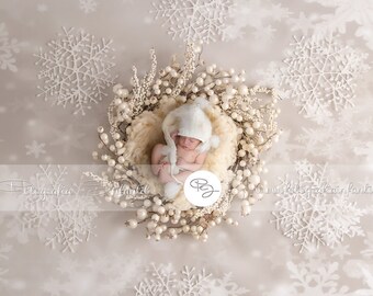 Newborn Digital Backdrop (nest /snowlake)