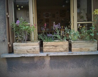 Tray has flowers in pallet wood