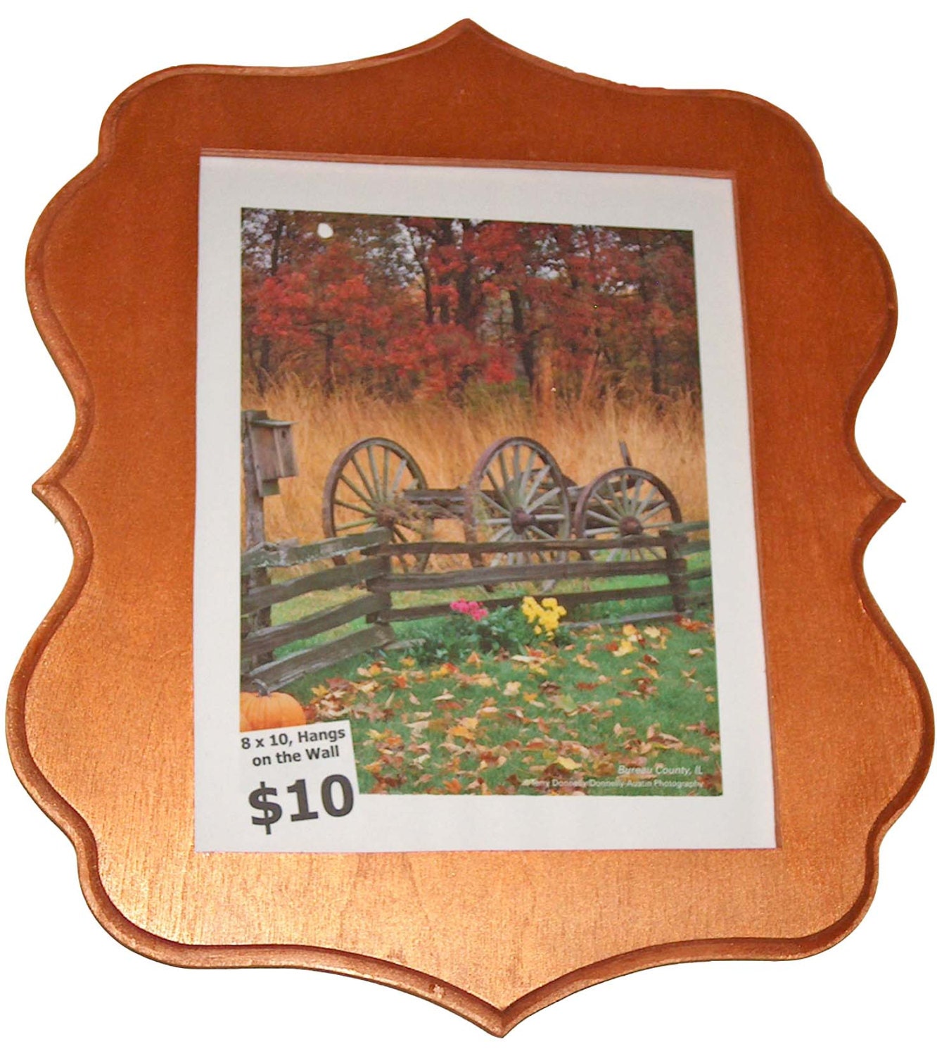 Picture Frame 8x10 Scroll Saw Frame Wooden Frame Wall