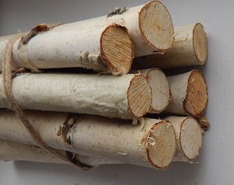 10 Birch logs Wood sticks. Birch tree. Decor for fireplace. Craft birch. White birch logs. Decoration birch. Logs for decoration. Craft logs