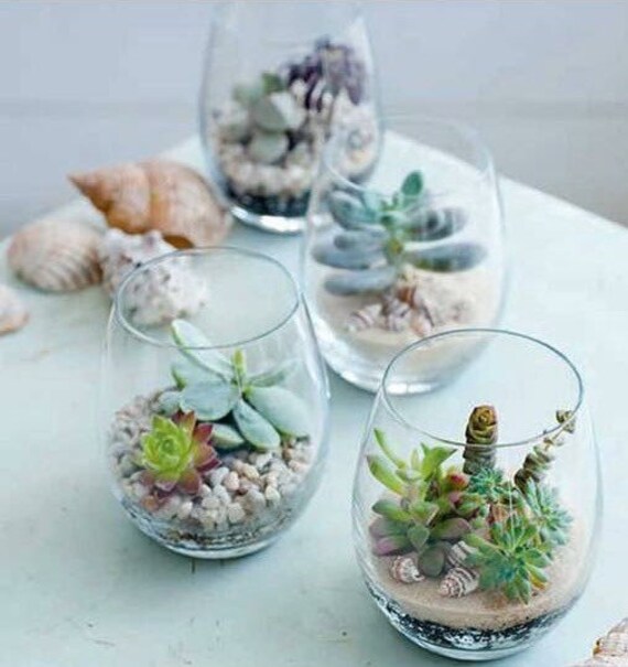 Wedding Favors Succulents Image collections - Wedding Decoration Ideas Wedding Favors Succulents Image collections - Wedding Decoration Ideas