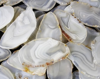 2-3" agate slices white polished dyed slabs natural gemstone rock stone mineral specimen