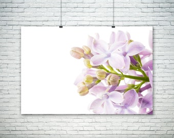 Lilac Nursery Decor, Violet Purple Wall Art, Children's Room Art, Macro Flower Print, Budding Flower Photograph, Girl's Room Decor